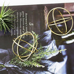 ZOOELAY Mini Air Plants Holders Metal Geometric Hanging Airplants Plant Hanger Airfens Display Stand Planter Hanging Airplants Frame Decor 6PCS
