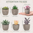 Set of 6 Artificial Succulents Potted - Realistic Mini Fake Cactus Plants in Paper Pulp Pots, 2-4'' Mixed Sizes for Farmhouse Shelf, Bathroom, Coatrack Shelf, Bedroom Indoor(Classic Style)