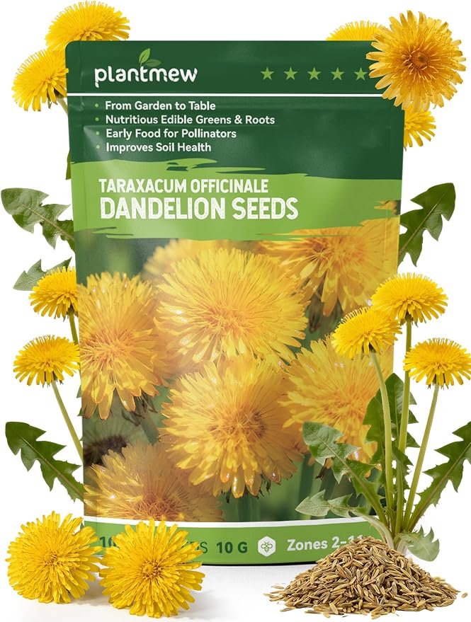 Dandelion Seeds for Planting - 4,000+ Heirloom Dandelion Herb Seeds (Taraxacum officinale), Edible Leaves Flowers Roots, Medicinal Garden, Pollinator-Friendly