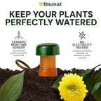 Blumat Classic Self-Watering Stakes - Prevents Overwatering and Underwatering for Healthy Growth While You are Away - Ideal for Indoor Plant Watering, 3 Pack, w Adapter