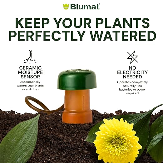 Blumat Classic Self-Watering Stakes - Prevents Overwatering and Underwatering for Healthy Growth While You are Away - Ideal for Indoor Plant Watering, 3 Pack, w Adapter
