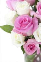 KaBloom - Pink and White Roses (Dozen and a Half) - With Vase- Fresh Flowers for Birthday, Valentine's & Mother's Day