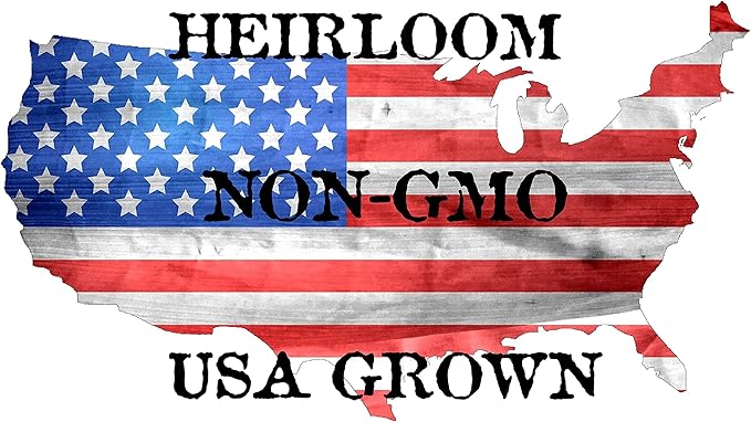 500 Bloomsdale Spinach Seeds - Heirloom Non-GMO USA Grown - for Use Indoors, Outdoors, or with Hydroponics by RDR Seeds