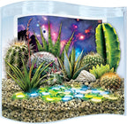 Toys By Nature Galaxy Garden, Wave Terrarium Kit with Live Cactus Plants, Succulents & Alien Egg Stone - Beginner-Friendly Terrariums and Live Indoor Plants Décor