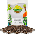 Soil Sunrise Carnivorous Plant Potting Soil Mix (1 Quart) Ideal Additive for Venus Fly Traps, Sundews, and Pitcher Plants