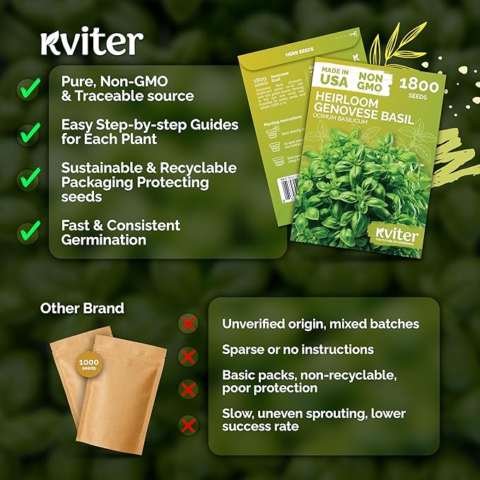 KVITER 1800 Genovese Basil Seeds for Planting (Ocimum basilicum) - Classic Savory Sweet Italian Basil - Non GMO & Heirloom Seeds for Kitchen Herb Garden, Containers & Beds, Indoors/Outdoors