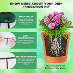 Lewisia 5W Solar Drip Irrigation System with Timer Auto Watering Kit for Garden Raised Beds Patio Lawn Greenhouse Up to 30 Plants