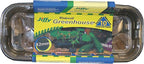 Jiffy 42mm Windowsill Greenhouse 10