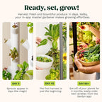 New & Improved! Gardyn Studio 2 Hydroponics Growing System - 16 Non-GMO Plants, Herbs, Vegetables - Smart Tower - Hydroponic Herb Garden Planter Indoor Kit - Indoor Gardening System w/Grow Lights