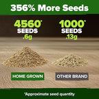 HOME GROWN German Chamomile Seed Pack – 4,560 Heirloom Seeds for Planting for Sustainable Gardens and Soothing Medicinal Herbal Teas (Matricaria chamomilla)