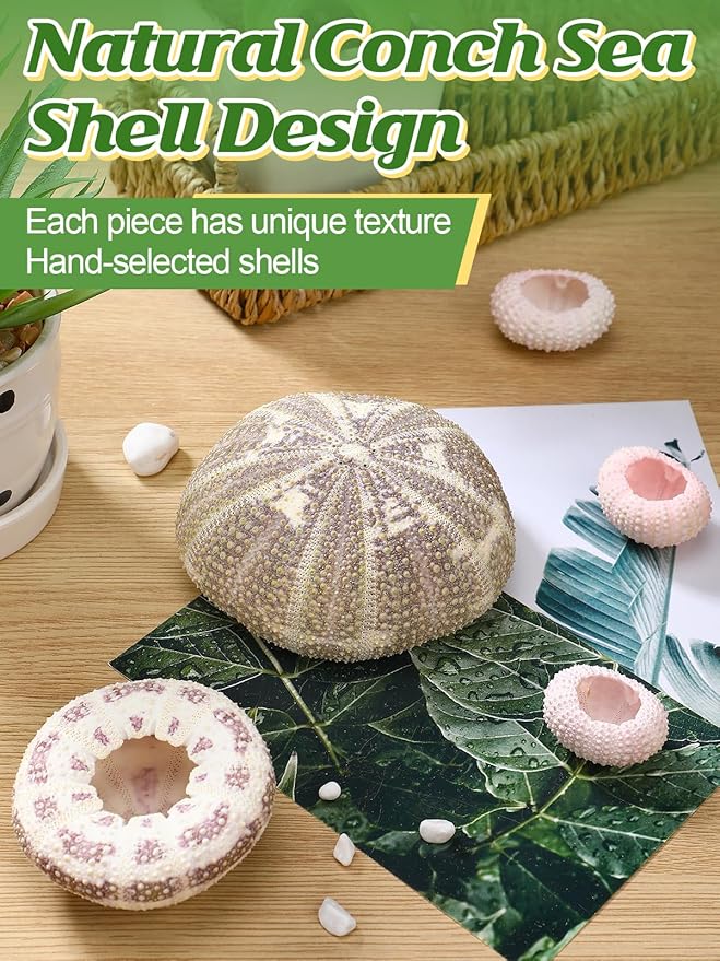 5 Pack Mini Sea Urchin Shell Air Plant Holders- 1.4-3.7 Inch Decorative Airplant Pot, Tabletop Air Tillandsia Succulent Display Container for Home Garden Decor Beach Theme Party Favors (No Plants)