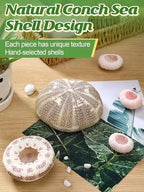 5 Pack Mini Sea Urchin Shell Air Plant Holders- 1.4-3.7 Inch Decorative Airplant Pot, Tabletop Air Tillandsia Succulent Display Container for Home Garden Decor Beach Theme Party Favors (No Plants)