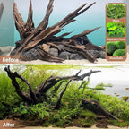 Jorewood Natural Small Aquarium Driftwood for Fish Tanks & Reptile Terrariums – 100% Safe Fish Tank Decorations, Unique Twisted Branches 5-Piece 4-8 Inch Low Tannin, Easy to Sink