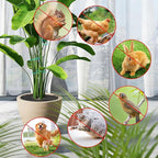 6 Pcs 11.8 Inch Plant Pot Grids, Cuttable Plant Pot Soil Covers Protectors from Animals with 30 Pcs U-Shaped Nails, Cat Dog Digging Proof Protection for Indoor Outdoor Potted Plants