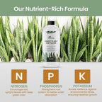 16oz Snake Plant Fertilizer for Snake Plant Live - Makes 96 Gallons of Fertilizer for Indoor Plants, Ideal for Healthy Growth, Strong Leaves, and Vibrant Color - Rich in Macro & Micronutrients