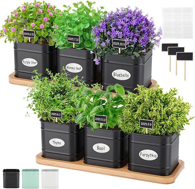 LemonRoad 6 Pcs Indoor Herb Planter Window Herb Pots for Kitchen with Drainage Hole and Bamboo Tray Farmhouse Metal Garden Planter Pot with DIY Label Mom Plant Gift(Black,Square)