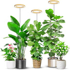 6.3in Plant Lights for Indoor Growing, Full Spectrum Faux Wood Grain Grow Light, 80 LED Growing Lamp with Height Adjustable 10"-65", 6/12/16H Timer, 3 Optional Spectrums, 5 Brightness, 3 Pack
