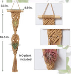 4 Pack Air Plants Holders, Wall Planters for Indoor Plants | Macrame Plant Hanger, Air Plant Hanger for Air Fern, Tillandsias, Live Houseplants & Succulent (NO Plant Included)