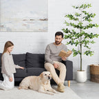 Faux Black Olive Tree 6FT,Artificial Tall Plant with White Planter and Stone,Potted Fake Tree with Natural Trunk,Artificial Plants Indoor for Home Office Living Room Corner Decor
