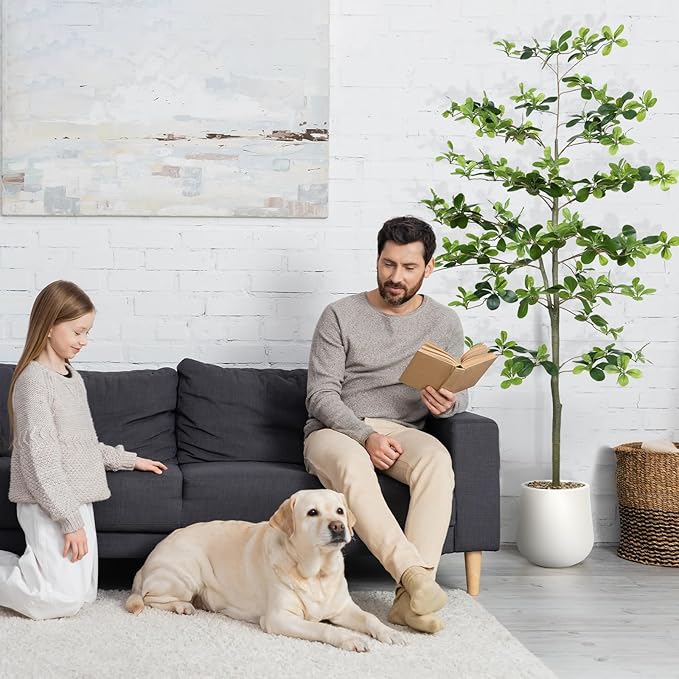 Faux Black Olive Tree 6FT,Artificial Tall Plant with White Planter and Stone,Potted Fake Tree with Natural Trunk,Artificial Plants Indoor for Home Office Living Room Corner Decor