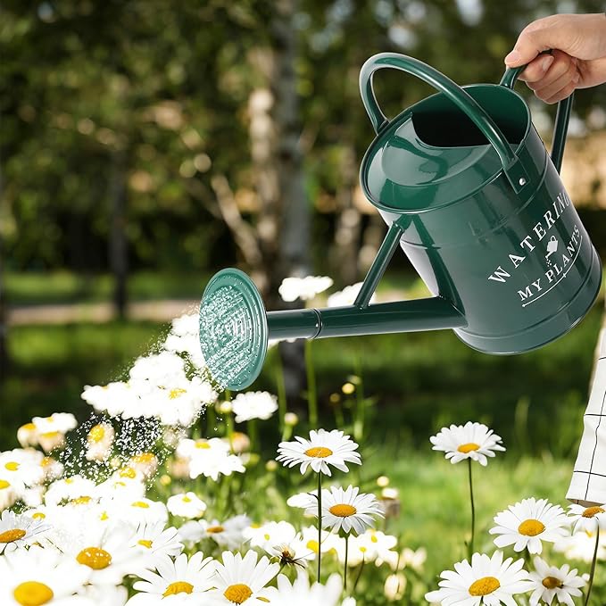 Galvanized Watering Can for Outdoor Indoor Plants, 1 Gallon Decorative Countryside Water Can with Removable Spout, Metal Watering Can for Indoor Plants and Garden Flower (Green)