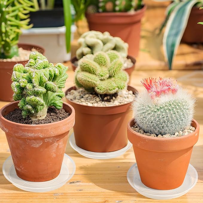 Augshy 18 Pack Plant Suacer 6/8/10/12 Inche Plant Drip Trays for Pots Clear Plant Pot Trays Water-Repellent Plant Saucers for Gardens Balconies and Indoors