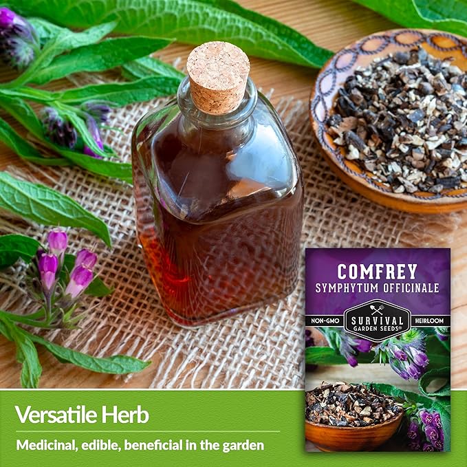 Comfrey Seeds for Planting - Symphytum Officinale Medicinal Perennial Herb for Compost Tea & Natural Skincare - True Slippery Root Non-GMO Heirloom - Survival Garden Seeds (3 Pack)