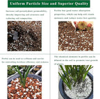 5 Quart Organic Perlite Horticultural Soil Amendment for Plants and Enhanced Drainage Enhanced Growth Organic Perlite Soil for Healthy Root Development