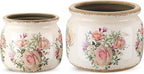 2 Pcs Vintage Planter Ceramic Plants Pot with Drainage Ice Crack Scroll Flower Vase Pot for Indoor Outdoor Plants Home Kitchen Decor Gifts(Country Rose,7.7" & 5.9")