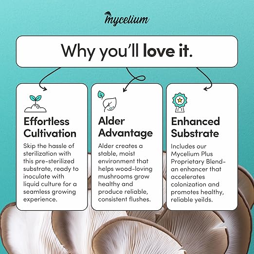 Mycelium All-in-One Mushroom Grow Kit – 6 lb Sterilized Enhanced Substrate with Alder, Soy Hull, Millet & Milo Grains | Ready-to-Inoculate Bag with Injection Port | Easy Gourmet Mushrooms at Home