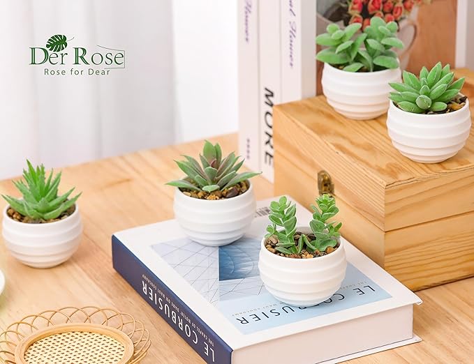 Der Rose 9 Pack Fake Plants Small Realistic Succulents Plants Artificial for Home Room Decor Indoor