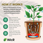 Self-Watering Planter Insert for Houseplants, Flower Pots and Hanging Baskets – Bottom Watering Reservoir with Wicking System – Prevents Over & Under Watering and Root Rot – Indoor/Outdoor – USA Made