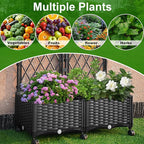 Raised Garden Beds with Screen Outdoor, Garden Trellis for Climbing Plants Indoor, Raised Privacy Planter Box with Trellis for Balcony Backyard Patio, Black, 2 Pcs