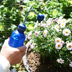 Watering Can for Seedlings, Small Watering Can for House Plant Garden Flower 15oz/0.45l (Blue)