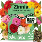 SVI 550 Mix Cactus Zinnia Seeds for 2026 (Zinnia elegans) – Giant Zinnias Super Seed Mix, Giant Flowers Seed Packets Bulk – Cut Flower Seeds to Plant Outside & Indoor Garden Flowers Bed, Containers