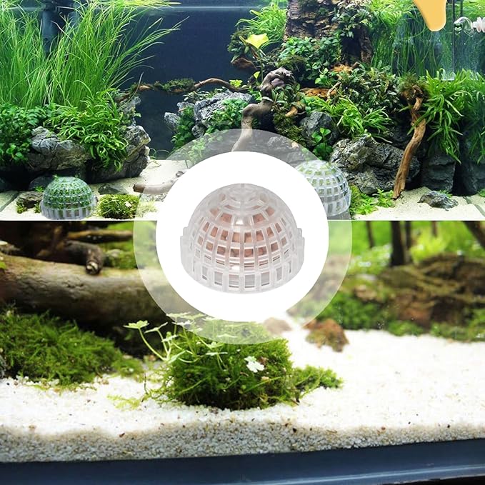 2 Pack Aquarium Moss Ball Holder Professional Plastic Moss Plant Holder with Hollow-Designed for Fish Tank Accessories
