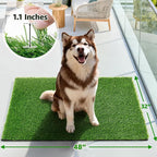 Artificial Turf Grass Outdoor: Grass Pad for Dogs Indoor Potty Training, Replacement Turf Rug for Patio Balcony Lawn Apartment Decoration, Easy to Clean with Drainage Holes(31.5x47.3 inch)