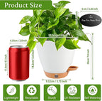 6 Inch Self Watering Pots for Indoor Plants(5-Pack) – Small Plastic Planters with Water Level Window, Drainage Holes & Detachable Trays, Indoor Outdoor Flower Pots for Herbs, Snake,Pothos(White)