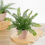 Artificial Fern Potted Plant, 10" Small Fake Plants in Pot, Faux Fern Plant for Home Office Farmhouse Living Room Bathroom Kitchen Tabletop Desk Shelf Decoration