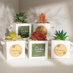 Temlum 2.5 Inch Succulent Wrap Bags (Fits 2.5″ Pots) with Thank You & Let Love Grow Stickers, Small Gift Box for Wedding, Baby Shower, Succulent Party Favors for Guests (White 40pcs)