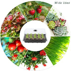 Hahood 4 Pack Seed Starter Tray Kit, 120 Square Seed Peat Pots for Seedlings with Plants Labels, Planting Tools, Plastic Growing Germination Trays with Lids for Indoor Outdoor Gardening, Black