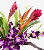 Fresh Orchids and Tropical Flower Bouquet, Purple Orchids, Red Ginger, Heliconia, Mixed Foliage, Hawaiian - PRIME QUALITY - Perfect for Birthdays, Valentine's Day, Mother's Day, Anniversaries, etc.