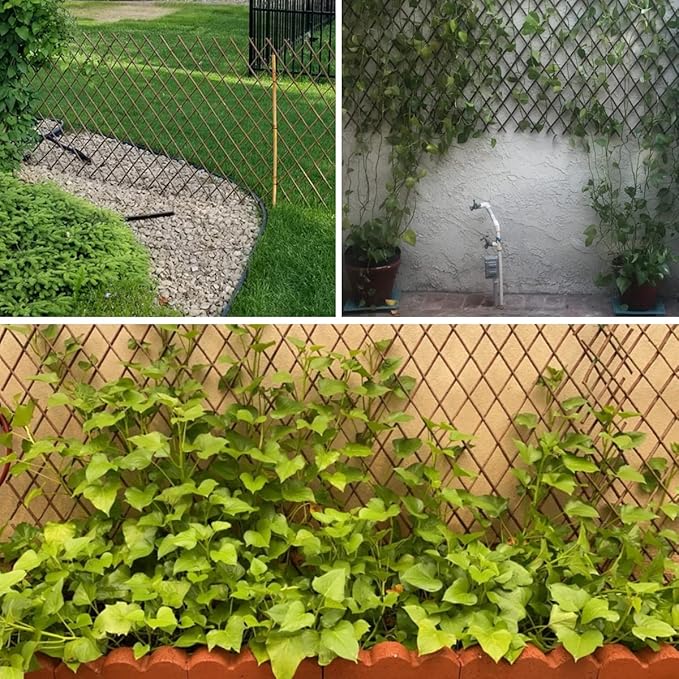Expandable Willow Lattice Fence Panel Plant Support Garden Trellis Willow Trellis Fence for Climbing Plants Vine Ivy Rose Cucumbers Clematis Outdoors Garden Yard,36X92 Inch(2PC)