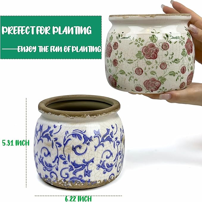 Dosayes Flower Pot,Vintage Ceramic Pot for Planter with Drainage Holes, 6.29 inch Ice Crack Glazed Indoor Planters Pot for Indoor,Tuscan Home Decor,Gardening Gifts,Blue and White (Tropical)