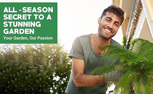 Gardenwise 8-4-8 Professional Palm Tree Fertilizer Plant Food; for Indoor Potted Plants and Outdoor Landscape Palm Trees; Quick-Release Nitrogen Fertilizer and Continuous Feeding (1 Quart)