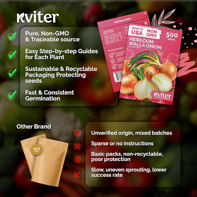 KVITER 500 Walla Walla Onion Seeds for Planting (Allium cepa) – Long Day Sweet Onions Gardening Seeds – Non GMO Heirloom Vegetable Seed Packets, Outdoor & Indoor Gardening, Home Garden, Raised Beds