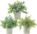 3 Pack Life-Like Potted Fake Plant, Artificial Plants Indoor, Artificial Frost-Hung Green Plants，No Need for Maintenance，Suitable for Desktop or Shelf Decoration in Homes and Offices