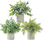 3 Pack Life-Like Potted Fake Plant, Artificial Plants Indoor, Artificial Frost-Hung Green Plants，No Need for Maintenance，Suitable for Desktop or Shelf Decoration in Homes and Offices