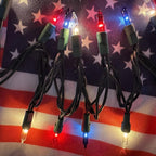 HISHINY Red White Blue 4th of July Patriotic Decorations Lights 100 Count Mini String Lights with Green Wire for Outdoor Indoor Christmas,Holiday,Party, Independence Day Decor,UL Certified (21feet)