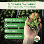 TKE Farms & Gardens - Lacinato Kale Seeds for Planting, 2 Grams, 500+ Heirloom Non-GMO Seeds - Dinosaur Kale, Tuscan Kale, Cold Hardy Superfood for Traditional & Urban Gardens